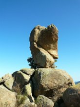 2016-09-05 10.13.26-2